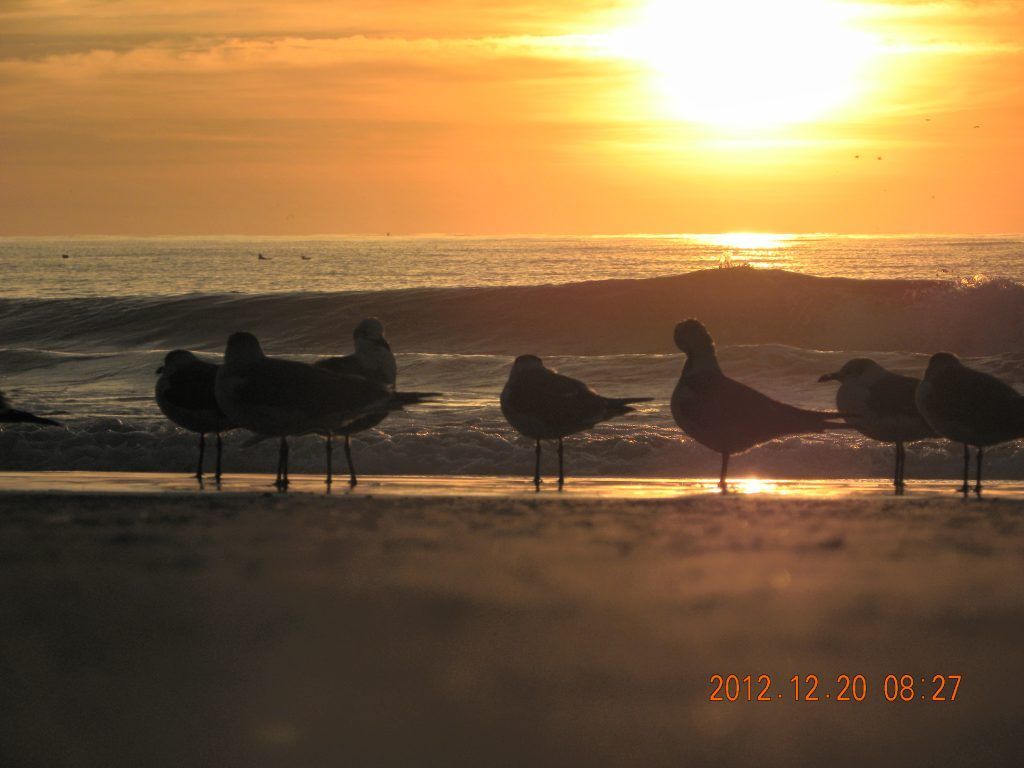 myrtle beach sunrise 3