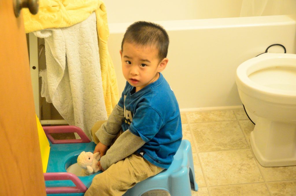 David is training his little baby to use potty. 训练小羊使用马桶